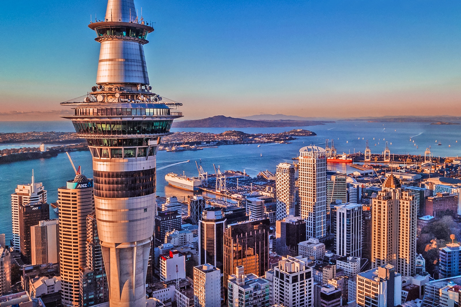 Top courses to study in New Zealand